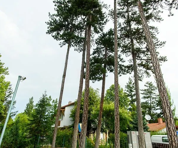 Bed & Breakfast Bl Garden Panzio